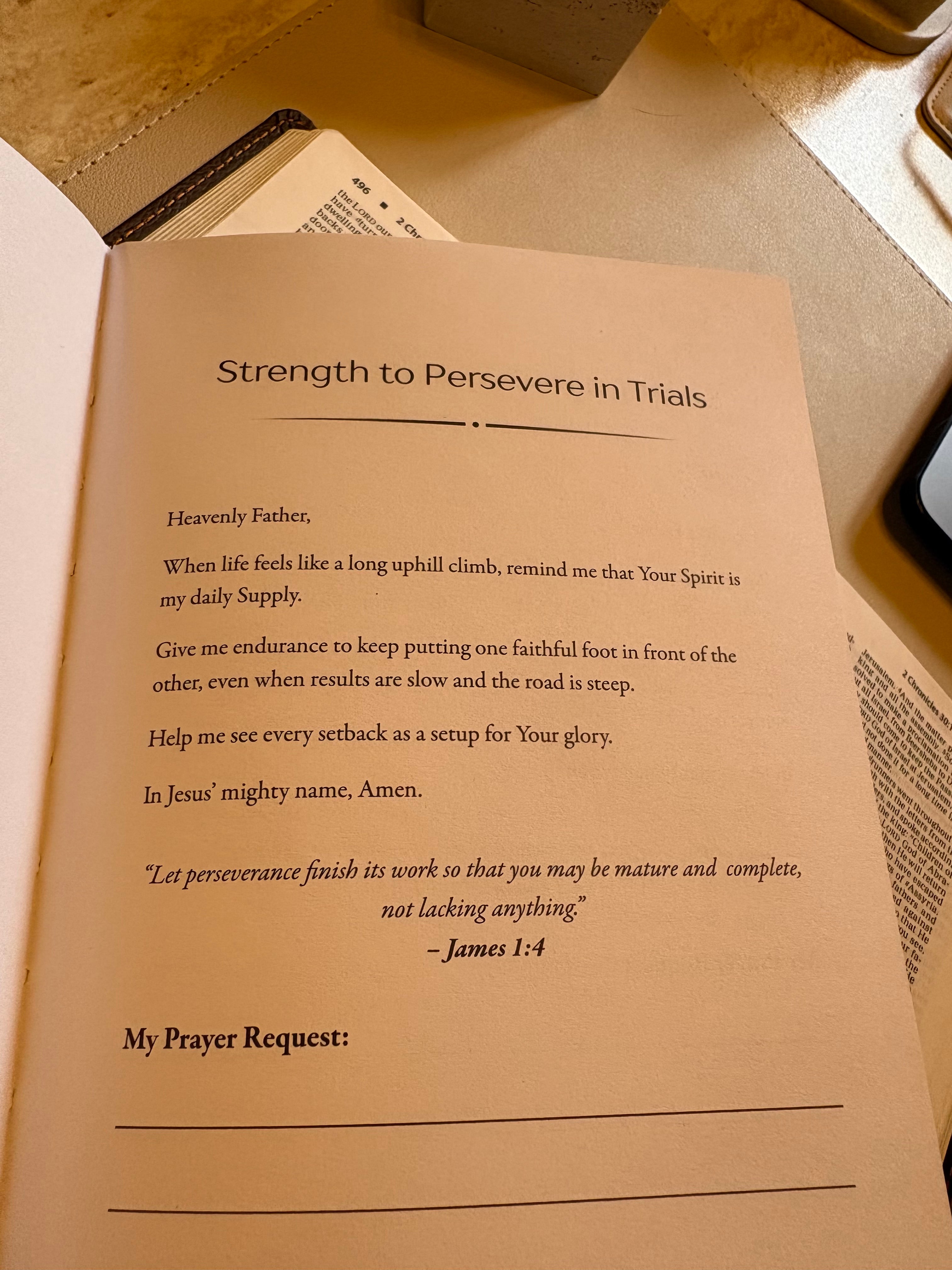 100 BLESSED PRAYERS JOURNAL